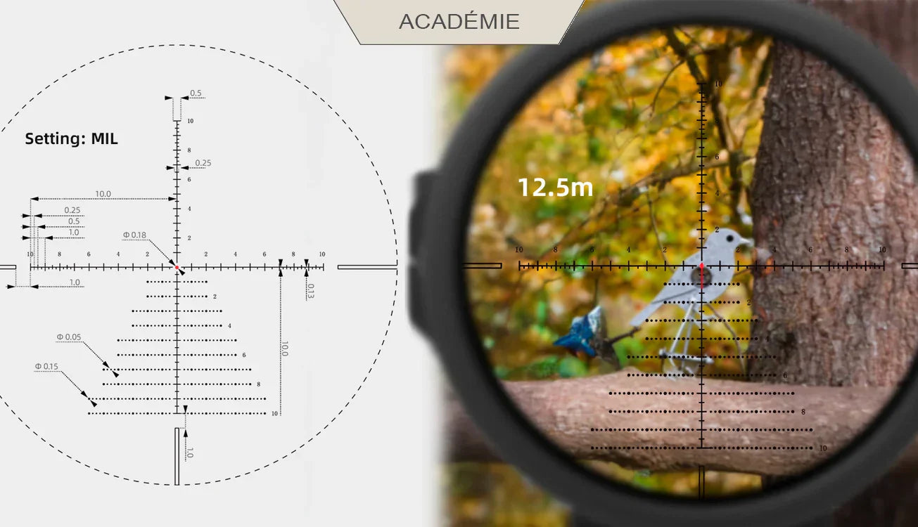 Hunter Field Target : Guide du débutant