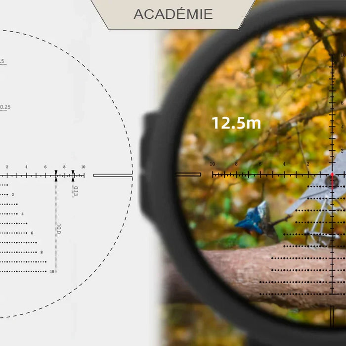 Hunter Field Target : Guide du débutant