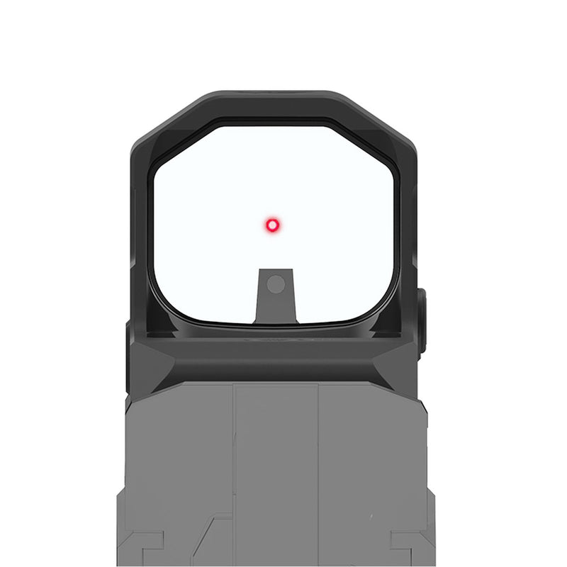 point rouge co witness cz shadow 2